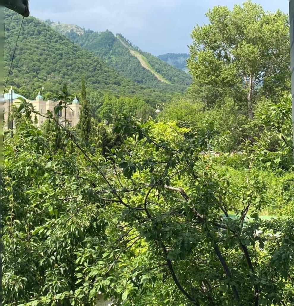 Panoramic Tufandag Family Apartment Gabala Exteriör bild